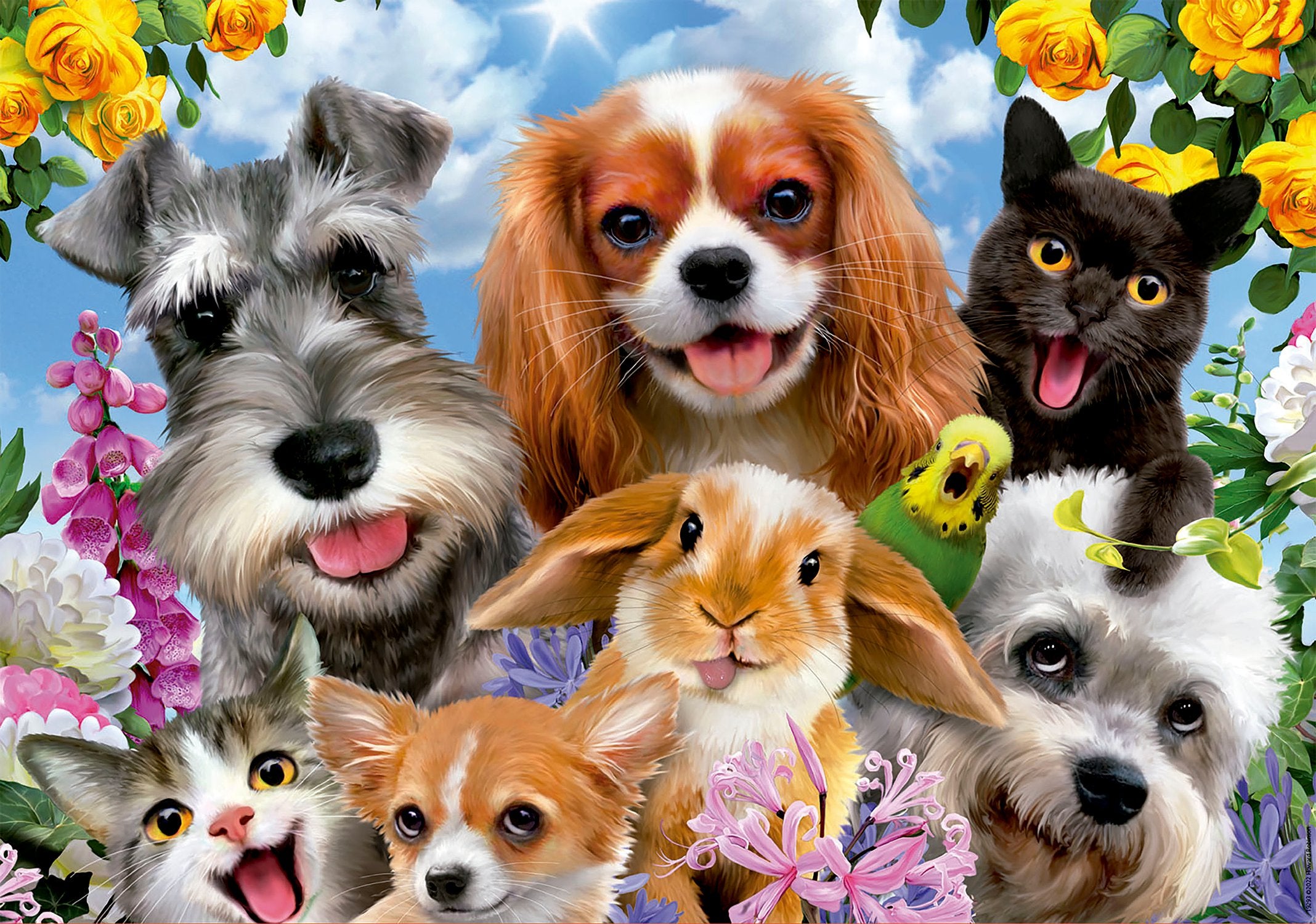 פאזל חיות בית 200 חלקים