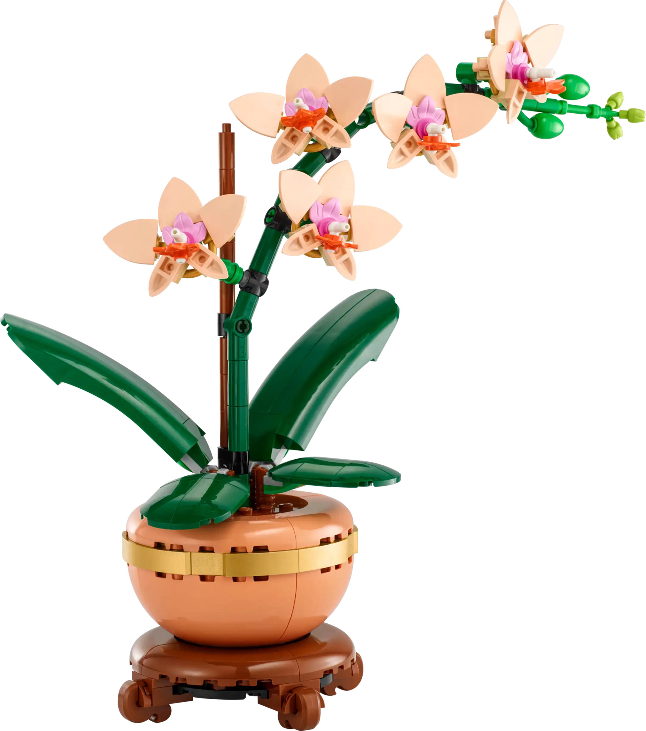 לגו Botanicals – סחלב קטן (10343)