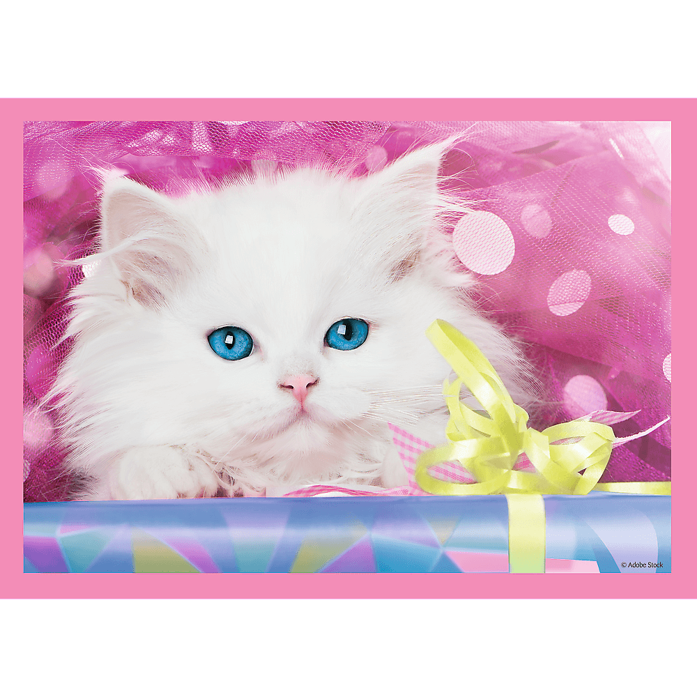 פאזל חתלתולים סט 4 פאזלים