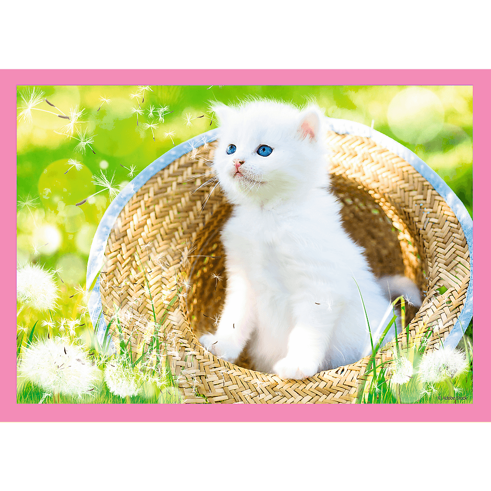 פאזל חתלתולים סט 4 פאזלים