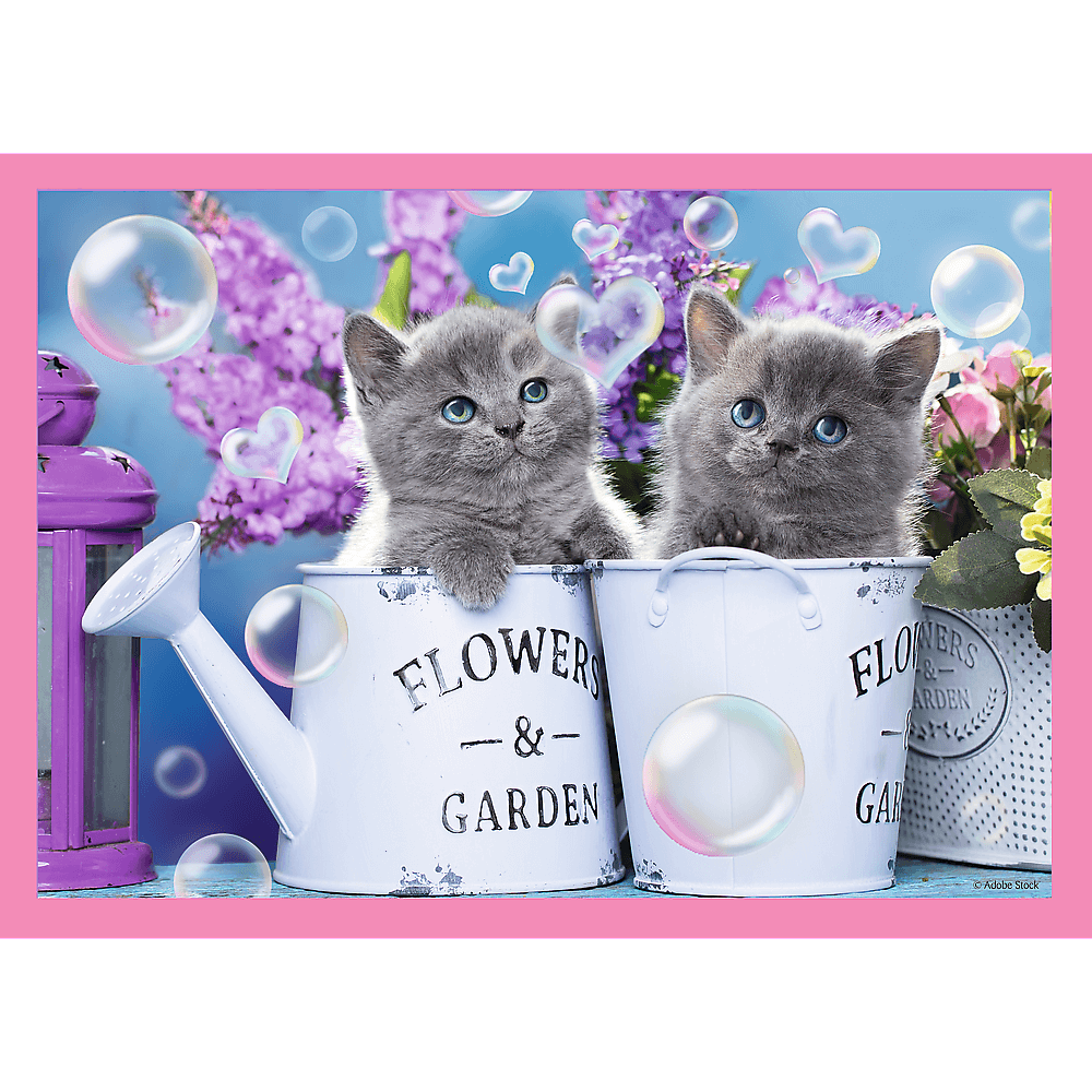 פאזל חתלתולים סט 4 פאזלים