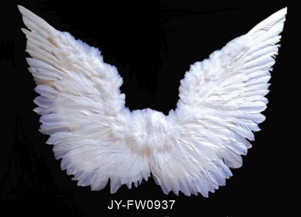כנפיים למלאך נוצות שחור/לבן