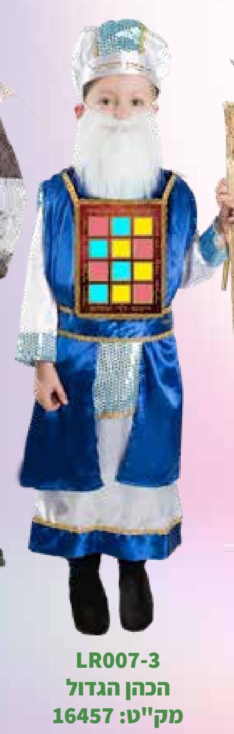 תחפושת כהן גדול 6-10