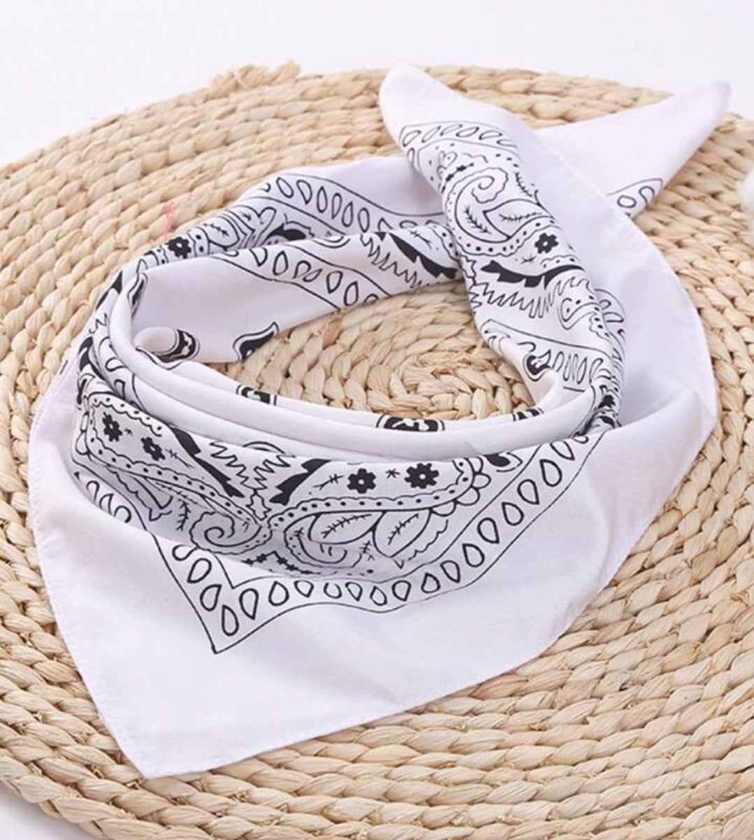 בנדנה מגוון צבעים