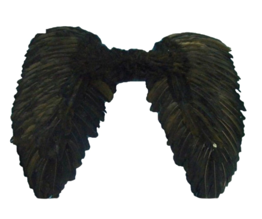 כנפיים למלאך נוצות שחור/לבן 80×60 ס"מ