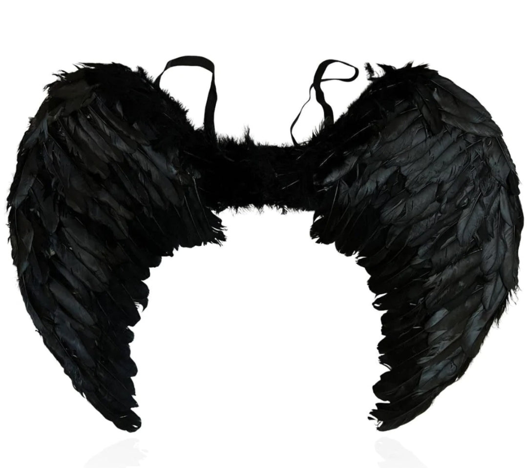 כנפיים למלאך נוצות שחור/לבן 40×60 ס"מ