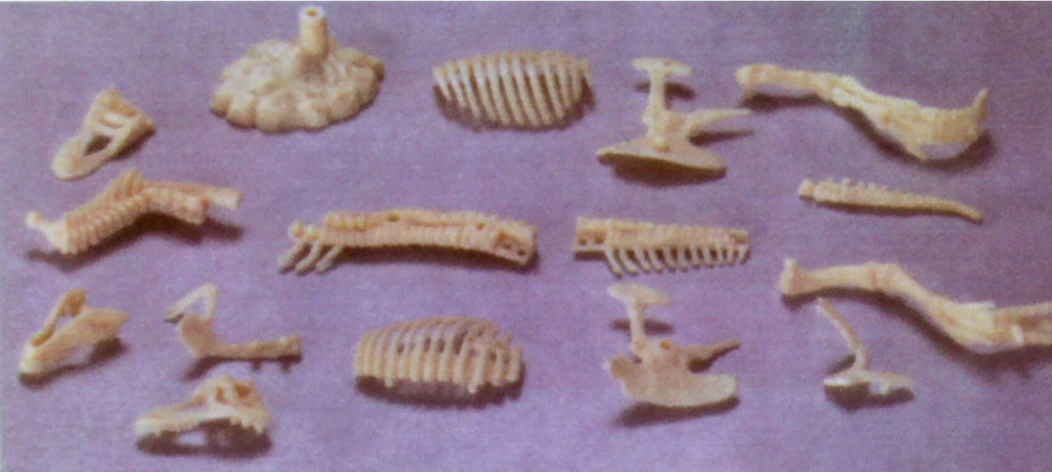 ערכת חציבה אריכאולגיה דינוזאור