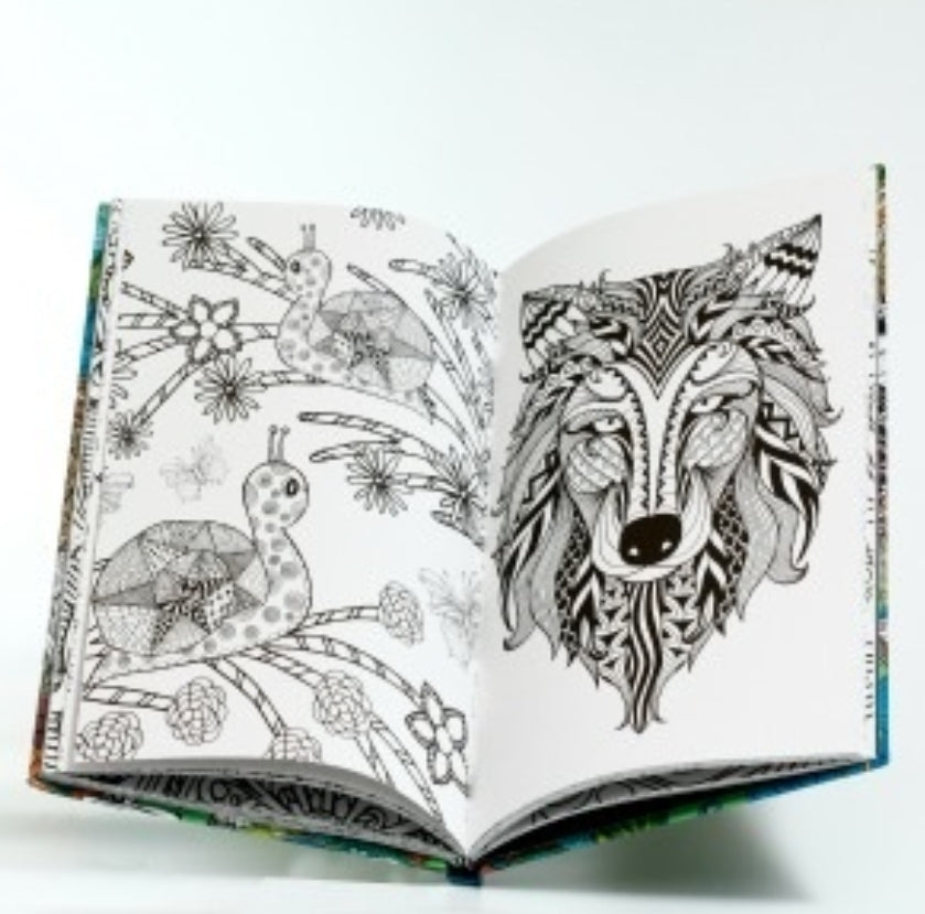 ספר צביעה מנדלות הקסם שבטבע