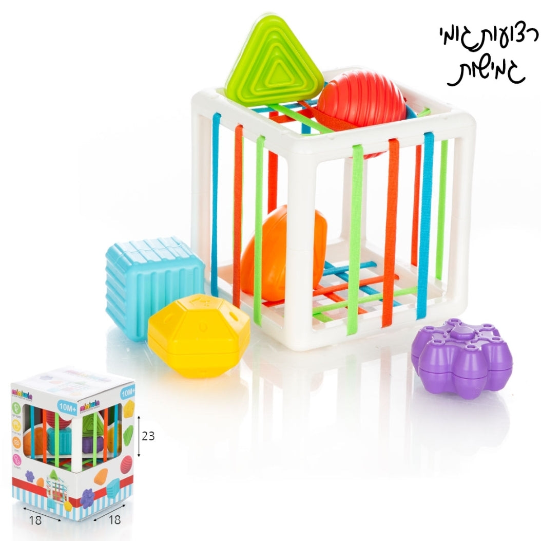 קוביית הכנסת צורות עם גומי