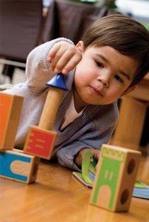 הטירה-zrizi toys