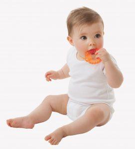 נשכנים איכותיים פלייגרו-zrizi toys