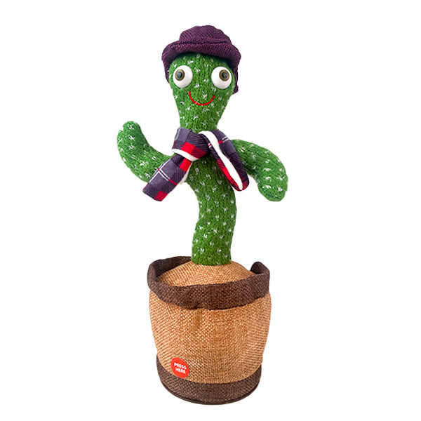 קקטוס מדבר מנגן ומאיר