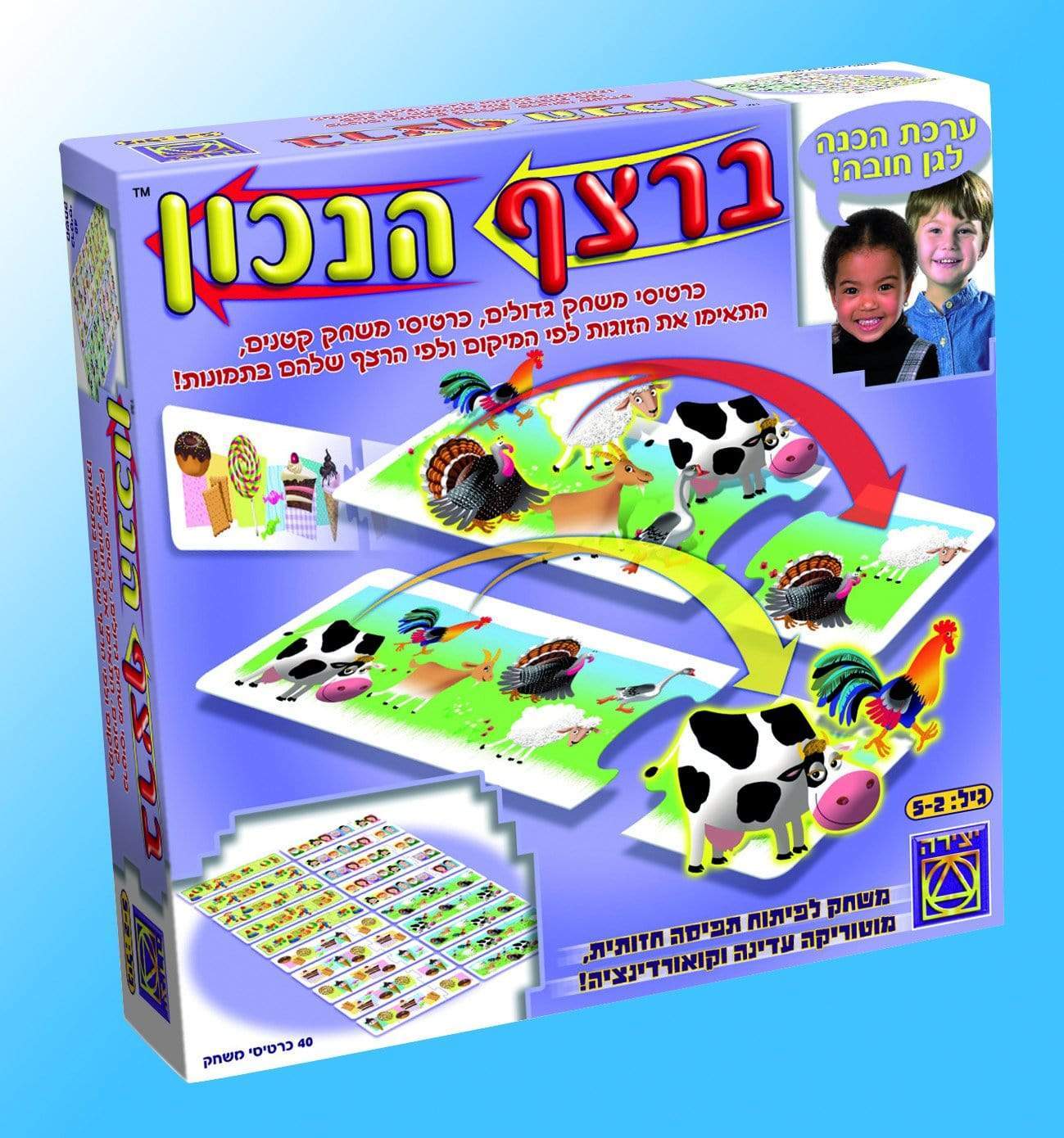 ברצף הנכון-zrizi toys