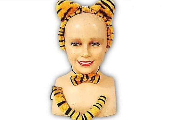 סט תחפושת נמר-zrizi toys