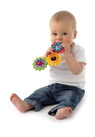 נשכן פלייגרו גלגלי שיניים-zrizi toys