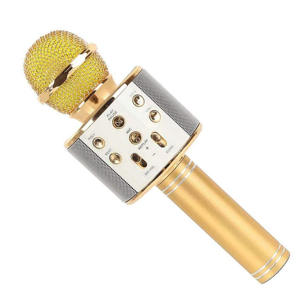 מיקרופון רמקול קריוקי-zrizi toys