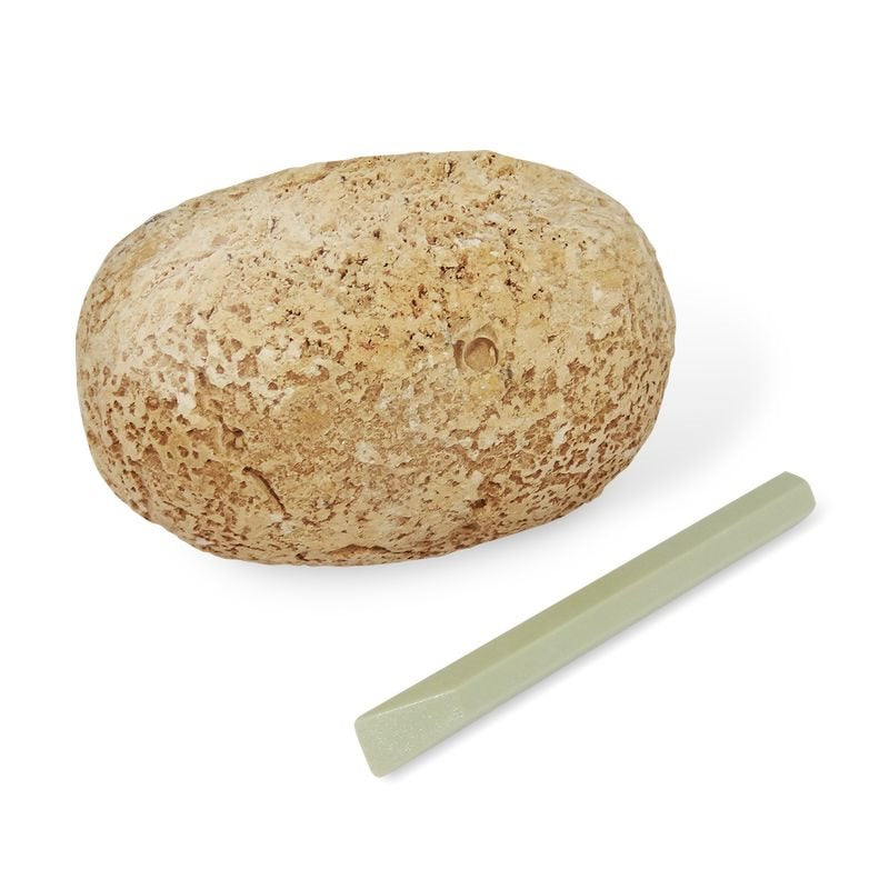 ביצת דינוזאור לחפירה