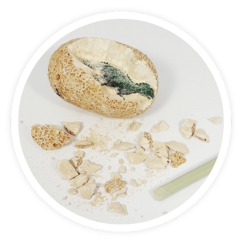 ביצת דינוזאור לחפירה