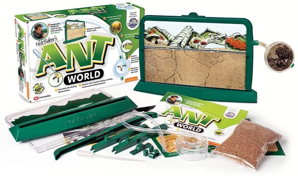 ערכה ללימוד וחקר עולם הנמלים