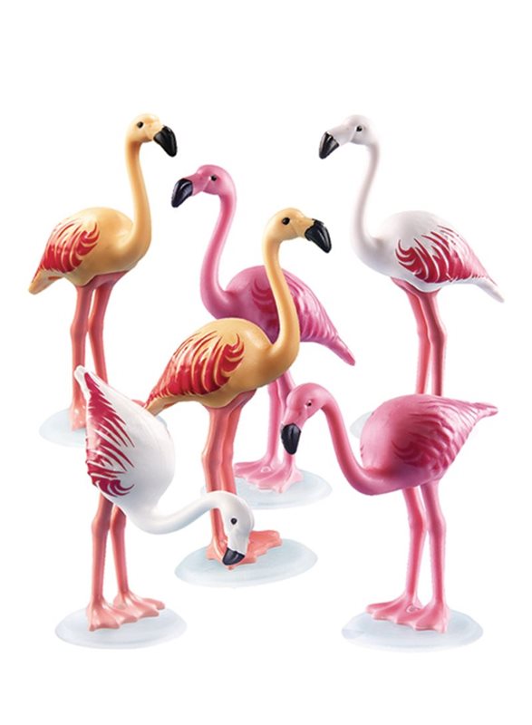 פליימוביל 6651 להקת פלמינגו