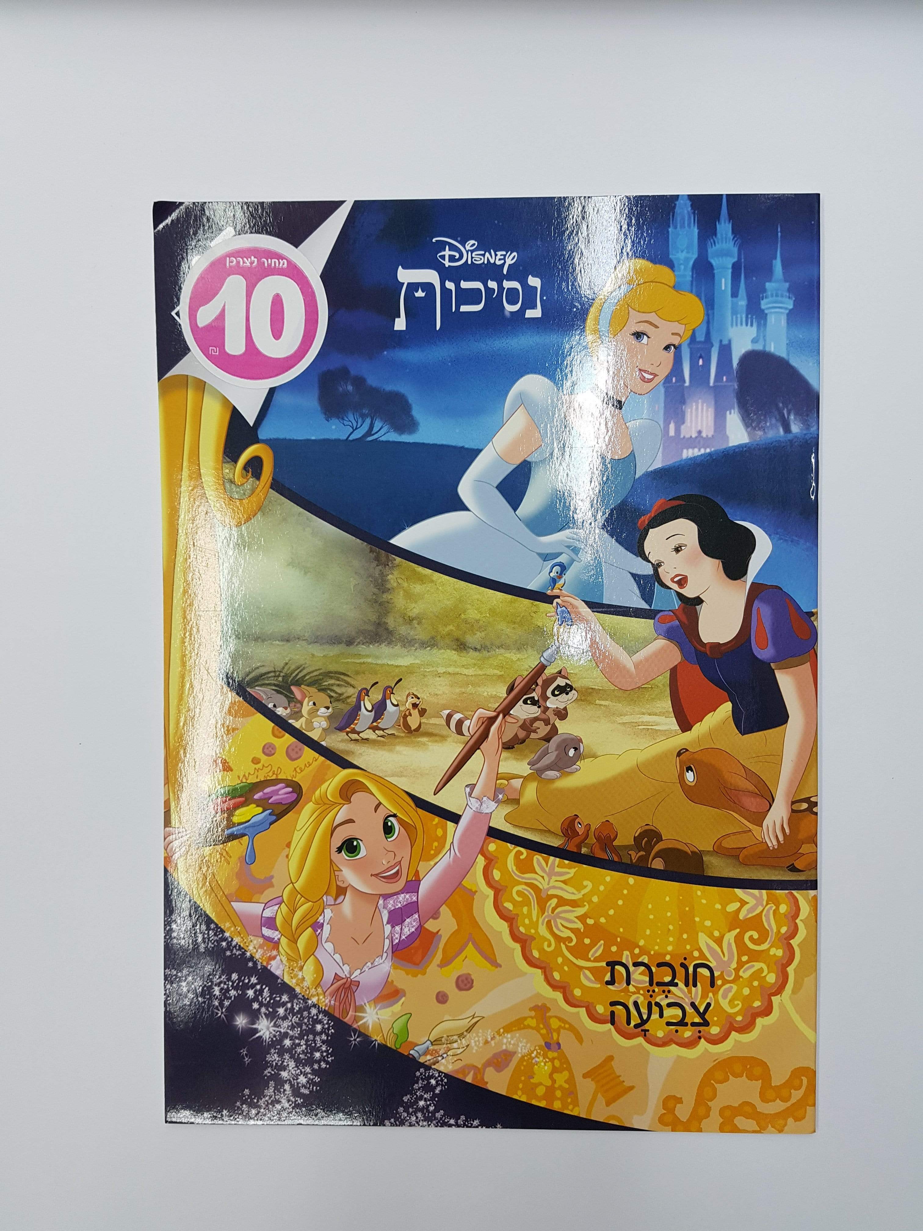 חוברת צביעה גדולה נסיכות-zrizi toys