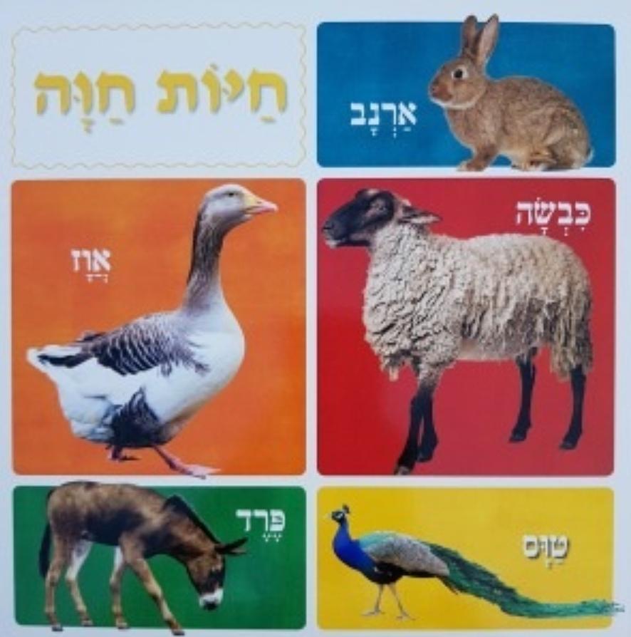 ספר מאה חיות ראשונות -דפים קשיחים-zrizi toys