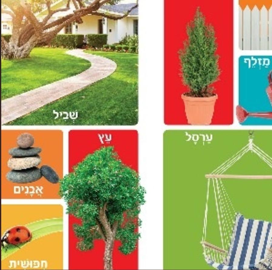 ספר מאה מילים ראשונות מחוץ לבית שלי -דפים קשיחים-zrizi toys