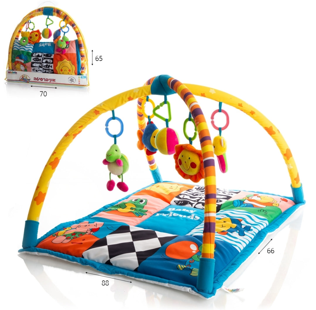 אוניברסיטה לתינוקות