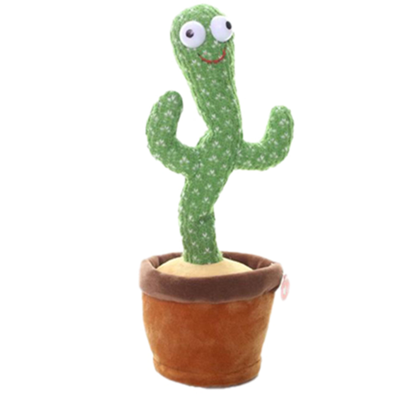 קקטוס מדבר מנגן ומאיר