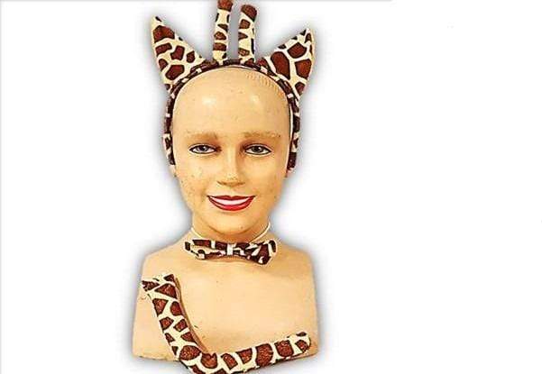 קשת ג'ירפה-zrizi toys