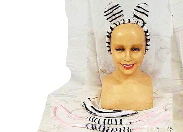 תחפושת זברה-zrizi toys