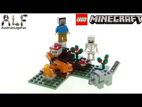 לגו מיינקראפט 21162