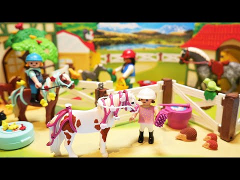 פליימוביל חוות הסוסים 9262