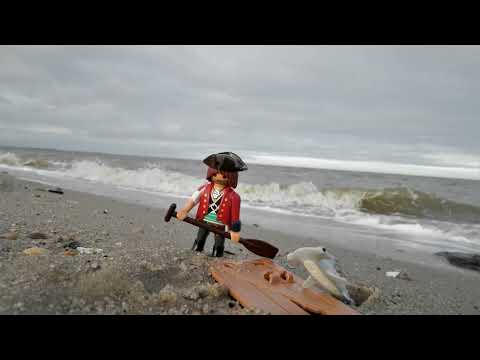 פליימוביל 70598 ספיישל פלוס פיראט