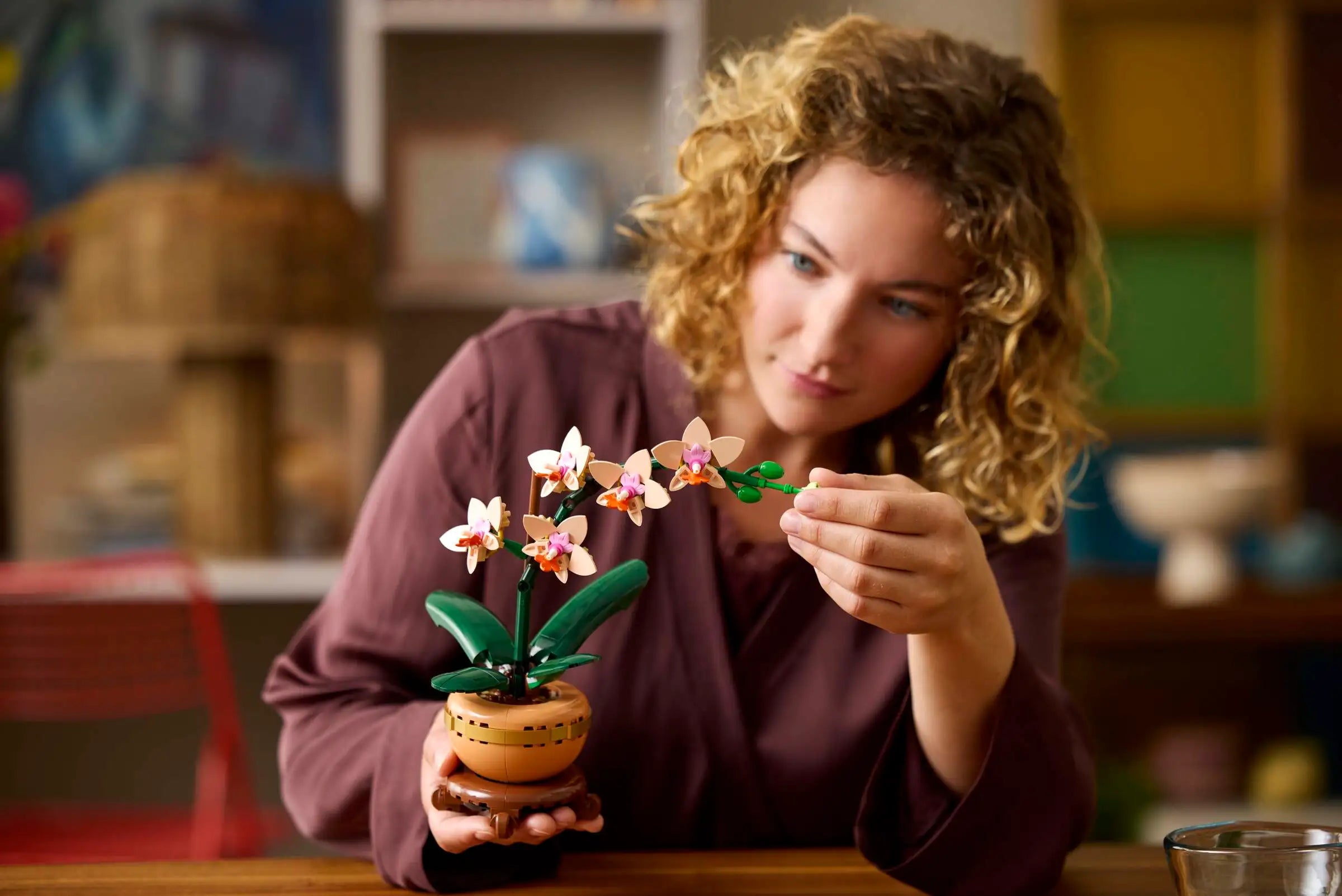 לגו Botanicals – סחלב קטן (10343)