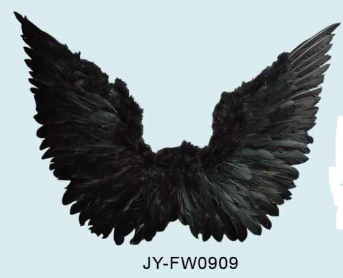 כנפיים למלאך נוצות שחור/לבן