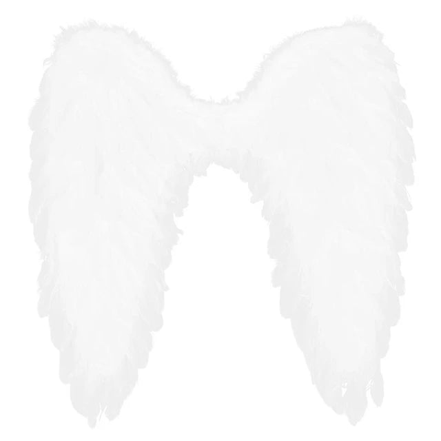 כנפיים למלאך נוצות שחור/לבן